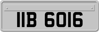 IIB6016