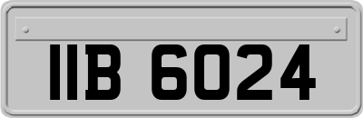 IIB6024