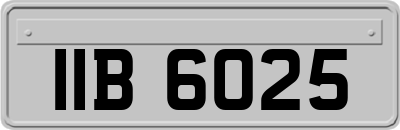 IIB6025