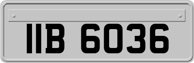 IIB6036