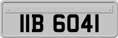 IIB6041