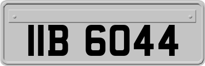IIB6044