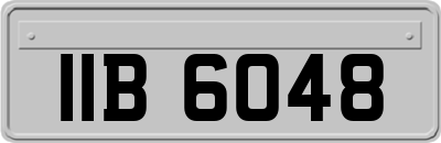 IIB6048