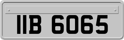 IIB6065