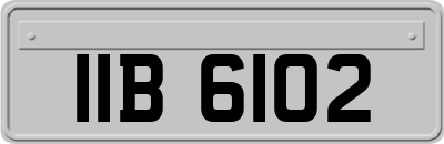 IIB6102