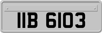 IIB6103