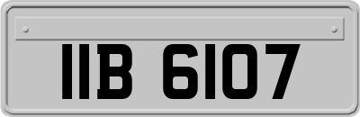 IIB6107