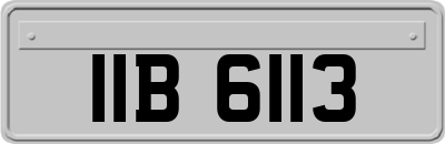 IIB6113