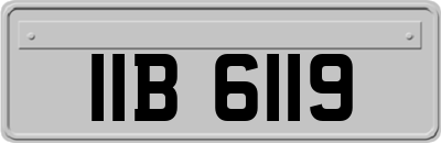 IIB6119