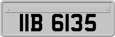 IIB6135