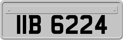 IIB6224