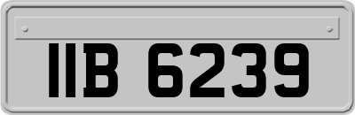 IIB6239