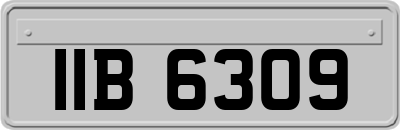 IIB6309