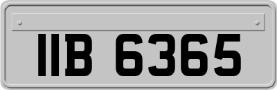 IIB6365
