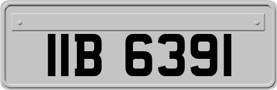 IIB6391