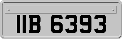 IIB6393