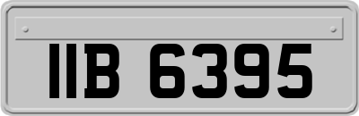 IIB6395
