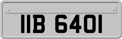 IIB6401