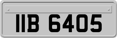 IIB6405