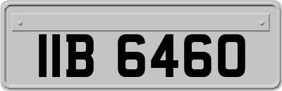 IIB6460