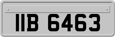 IIB6463