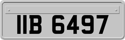 IIB6497