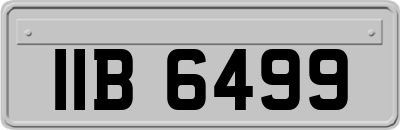 IIB6499