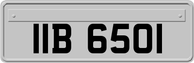 IIB6501