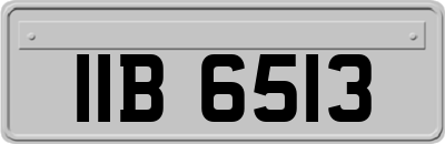 IIB6513