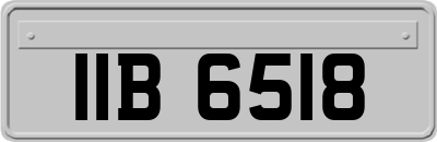 IIB6518