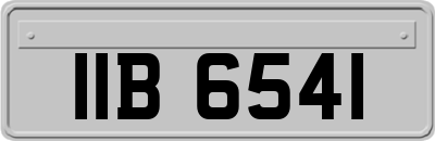 IIB6541