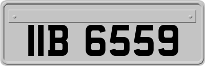 IIB6559