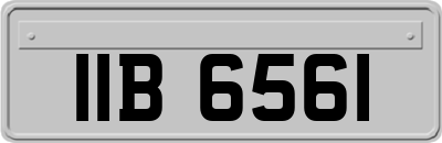 IIB6561