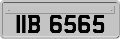 IIB6565
