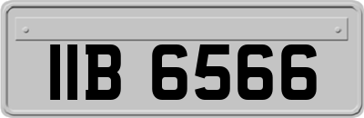 IIB6566
