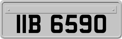 IIB6590