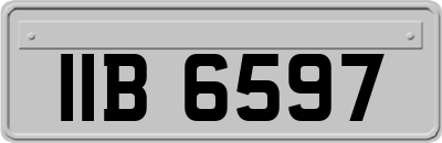 IIB6597