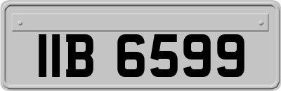 IIB6599