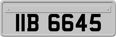 IIB6645