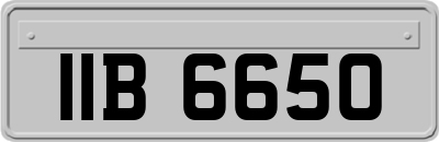 IIB6650