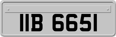 IIB6651