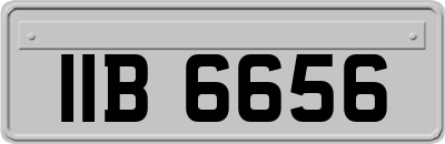 IIB6656
