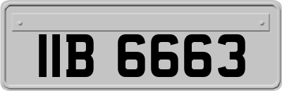 IIB6663