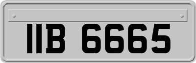 IIB6665