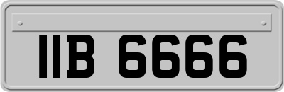 IIB6666