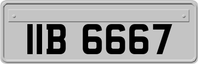 IIB6667