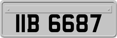 IIB6687
