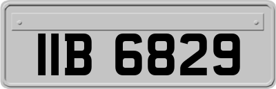 IIB6829