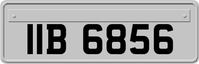 IIB6856