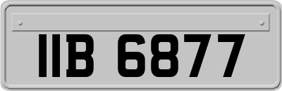 IIB6877